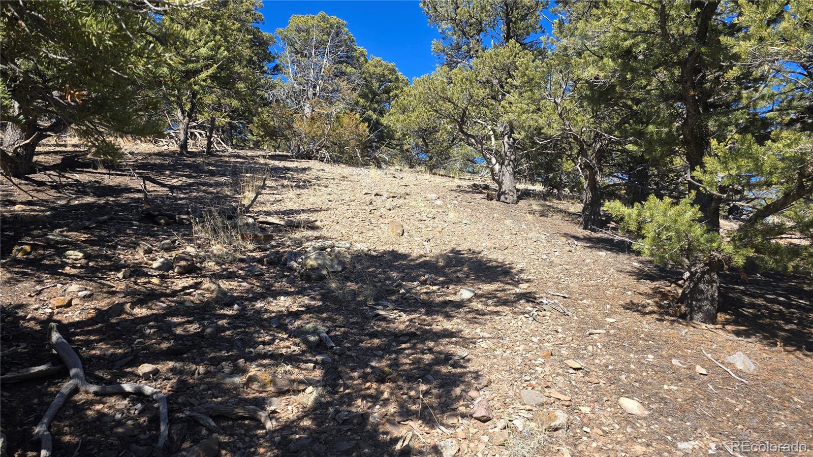 Lot 7527 Mcgillicuddy Road