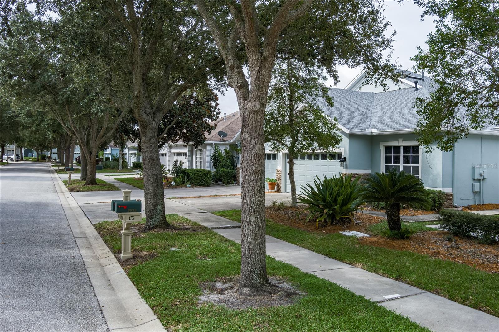 6936 Surrey Oak Drive