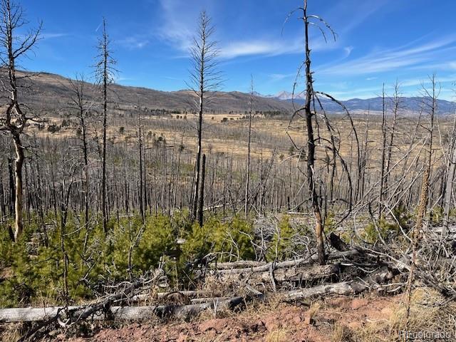 Lot 1741 Mathlide Place