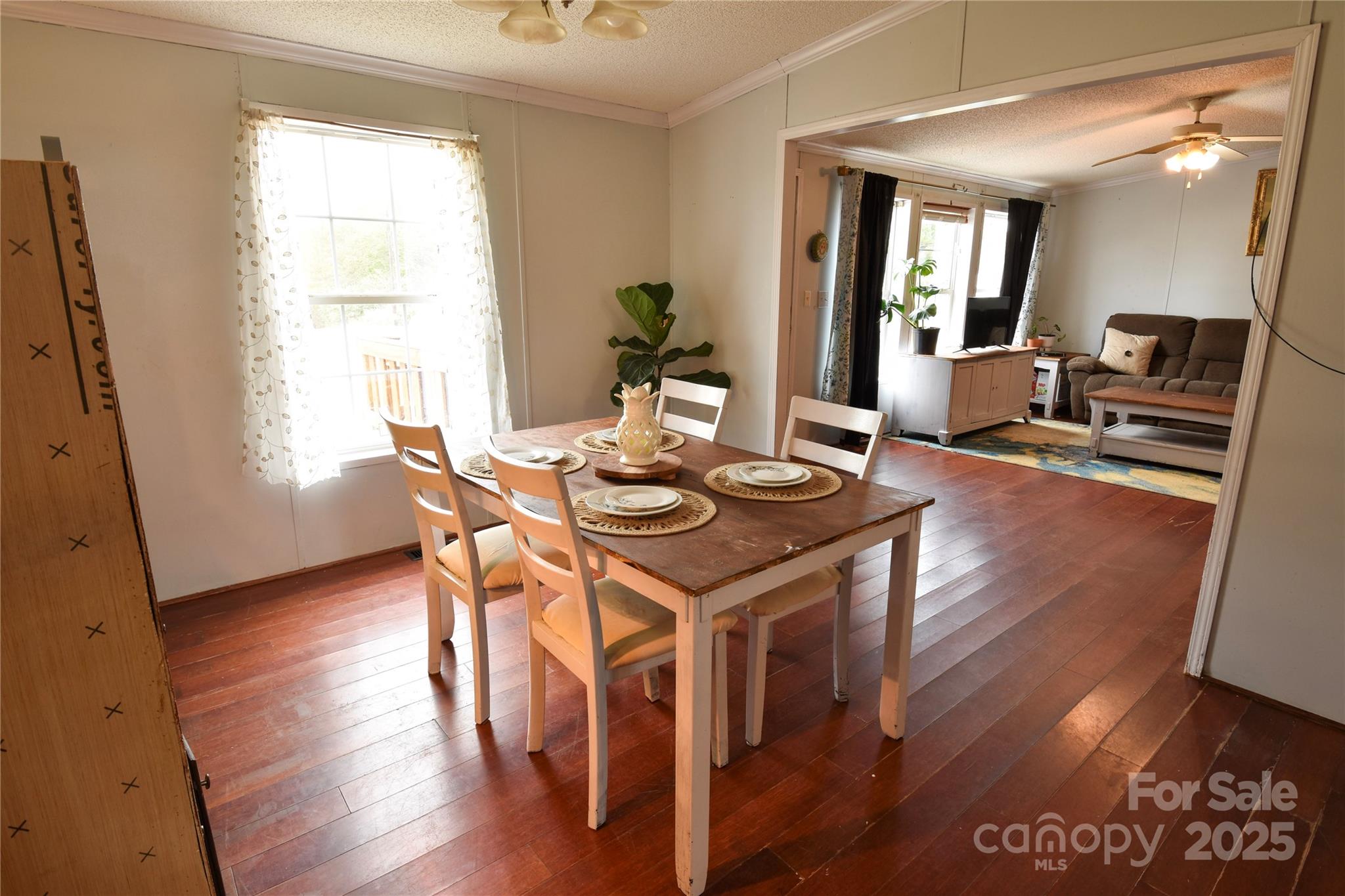 1007 W Cabaniss Road