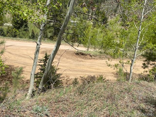 88 N Fork Road