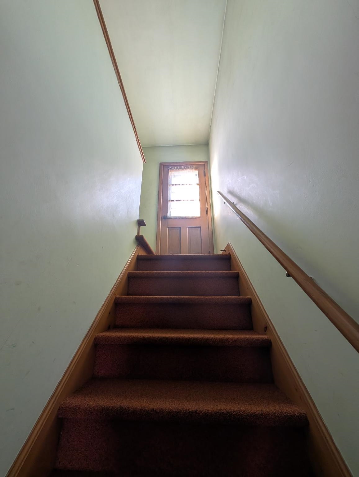 219 Cleveland Street