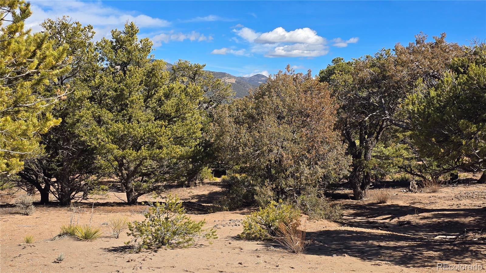 Lot 409 Williams Road