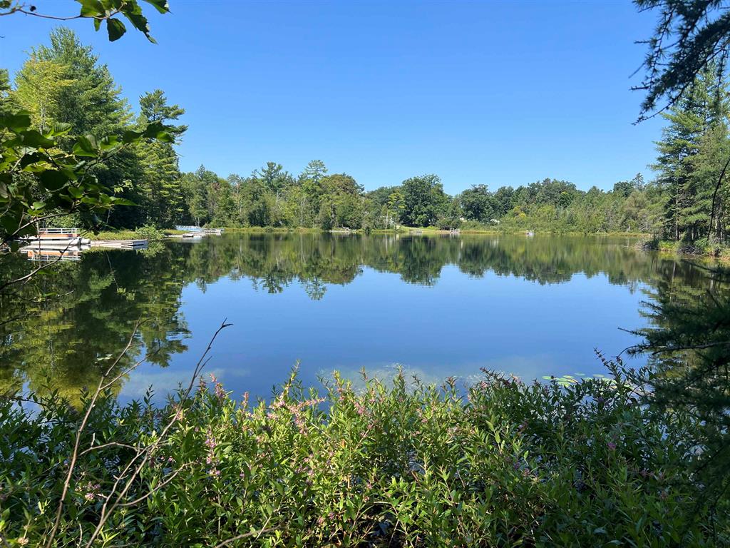 Get lost at Lost Lake! Close to 500 feet of frontage on Lost Lake with depths of 80 feet. Almost 20 acres of wooded land with 3, possibly 4, ways to access making the property potentially splitable. Heavily wooded property with trails circling the forest, full of hills and ravines making for excellent hunting.