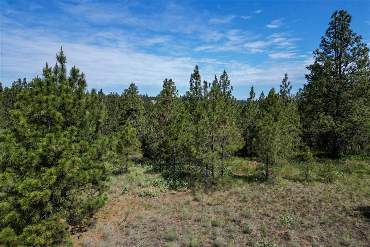 1305 E Wildflower Ln