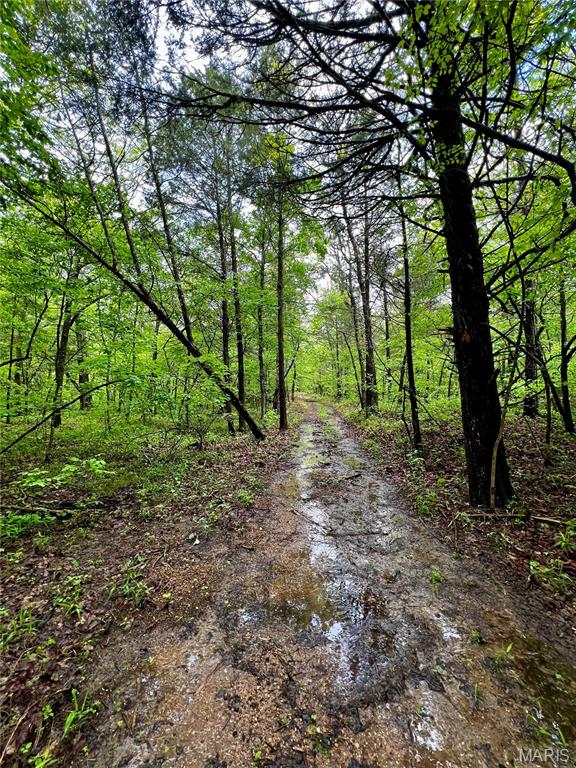 382 Furnace Creek Road