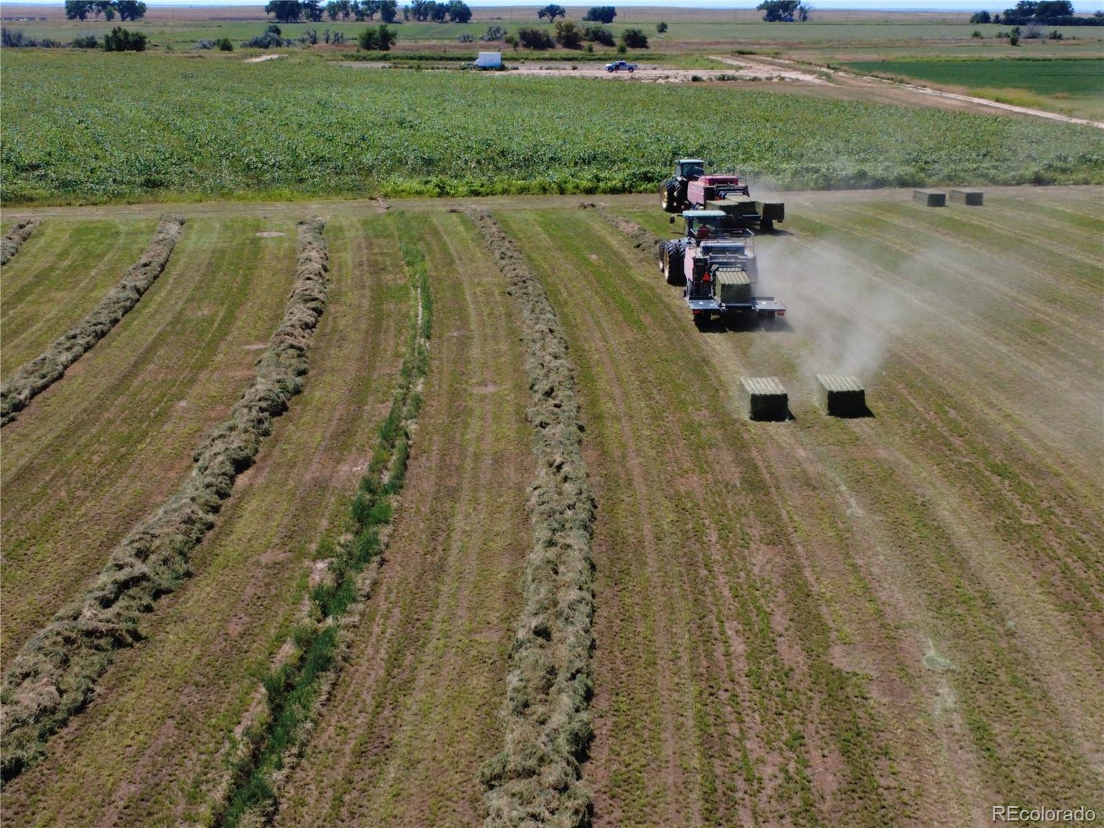 The Jerry Bay Farm offers the opportunity to invest in a farm property that offers crop production and grazing opportunities. The Jerry Bay Farm is well suited to producing alfalfa, silage sorghum, forage sorghum, and other crops. Crops that have been produced in the past include Alfalfa, Corn, Sorghum, Triticale, and Cantaloupes. A new 2003, 7 tower Reinke sprinkler system has been installed. The sprinkler will cover approximately 126.04 acres of the farm. The farm has 145.5 shares of irrigation water through the Holbrook Canal. There is also hunting opportunities with a population of Mule Deer that frequent the property.