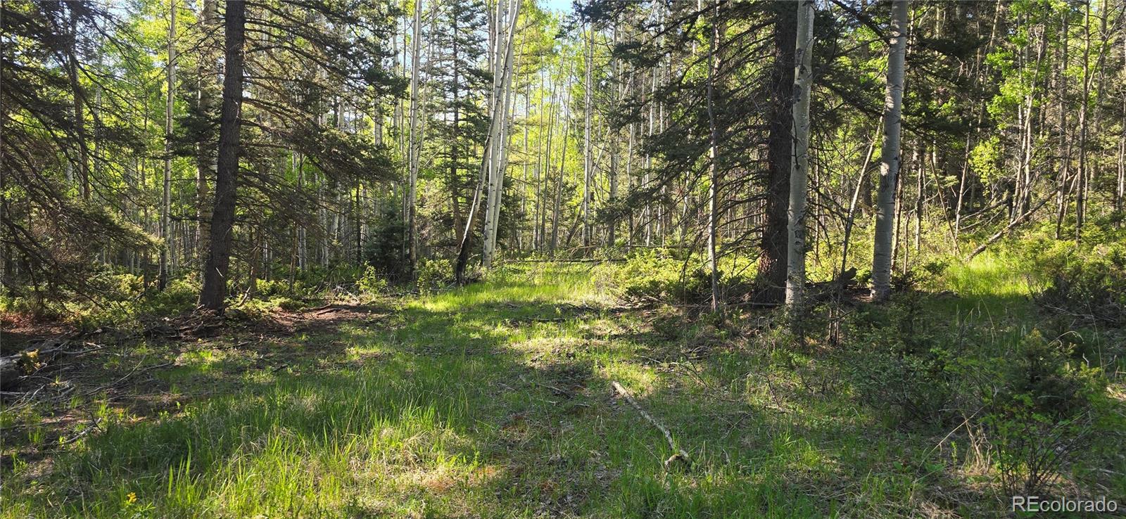 Lot 6385 Jaquez Road