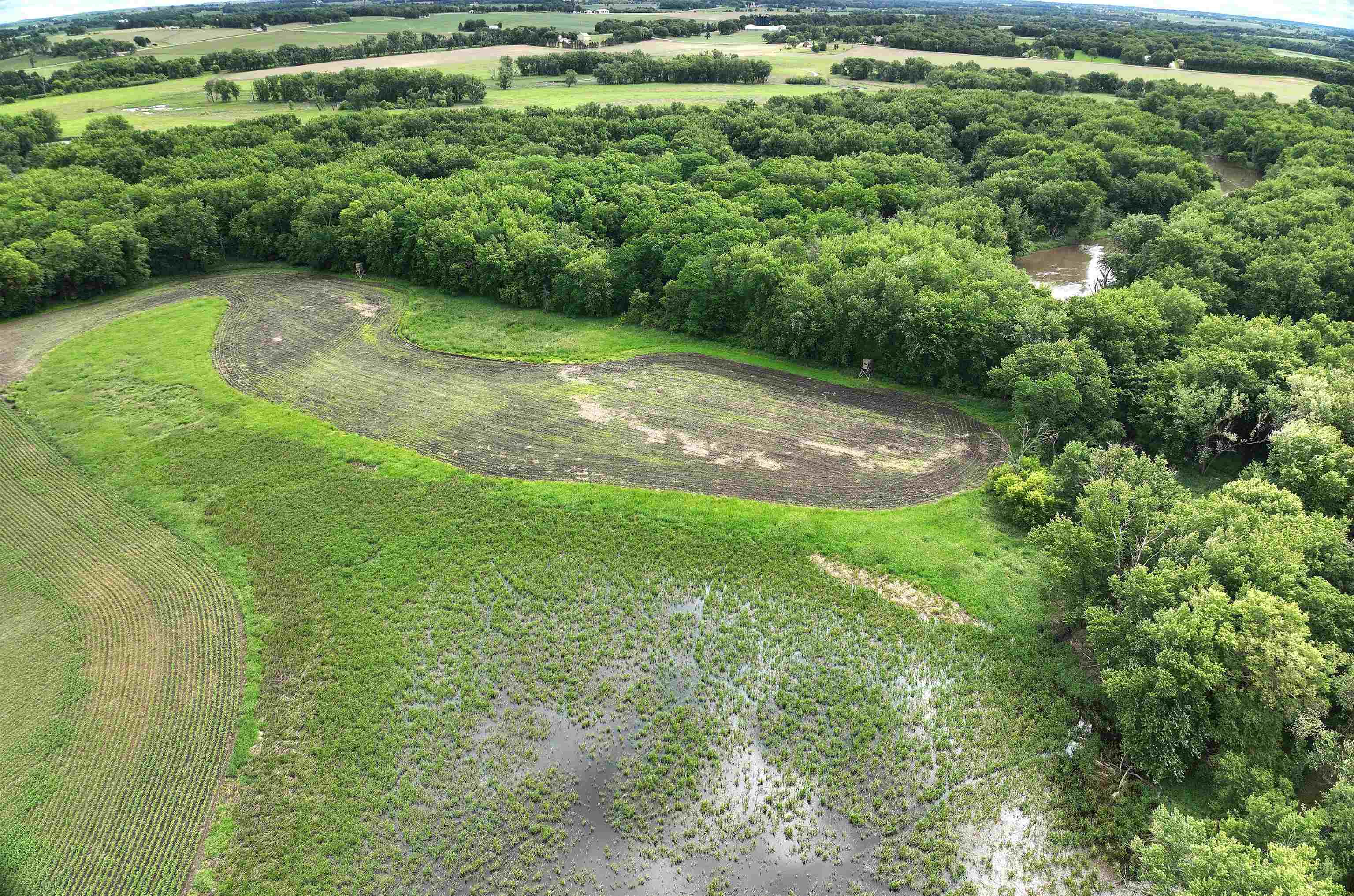 89.14 Acres Smokey Hollow