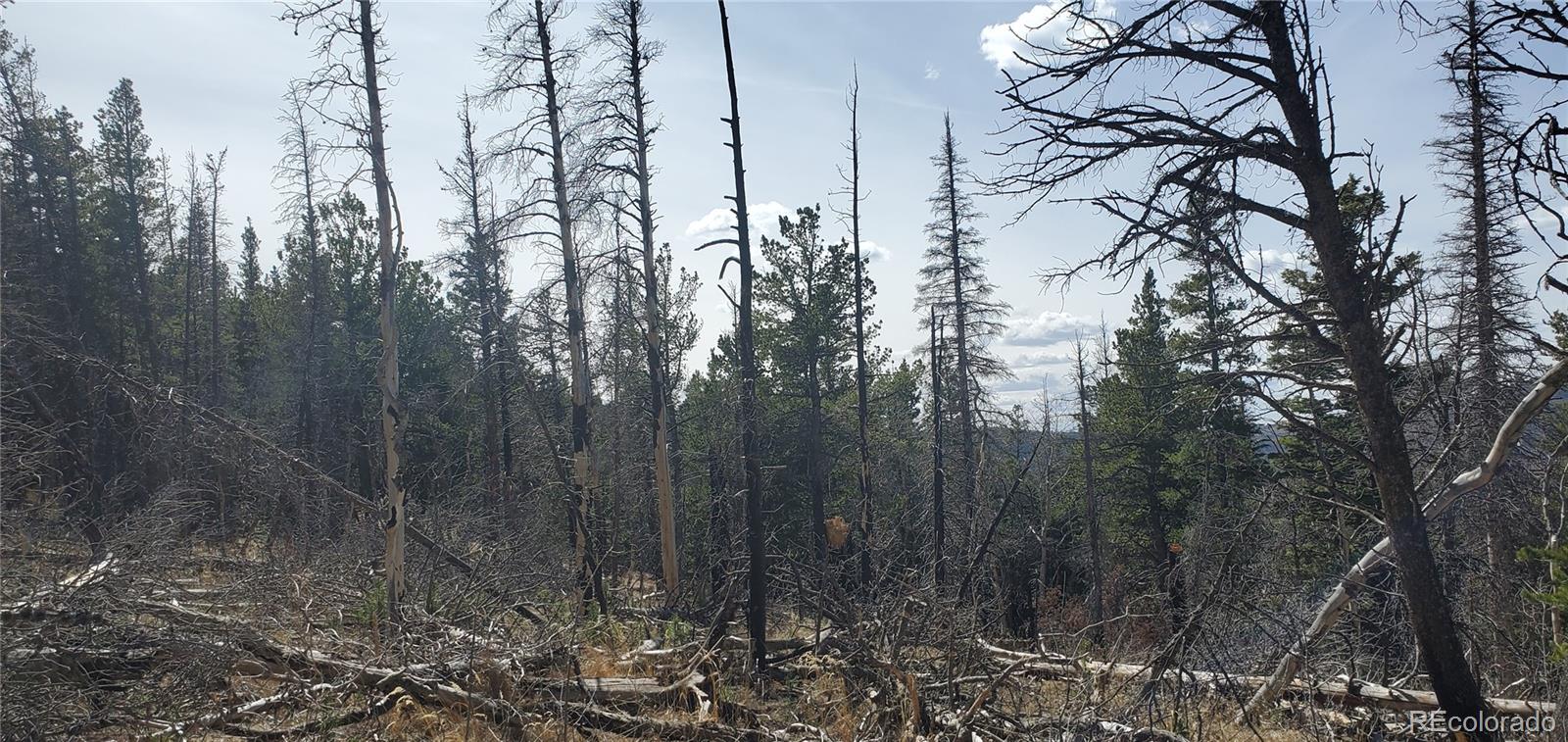Lot 2560 Grojean Drive