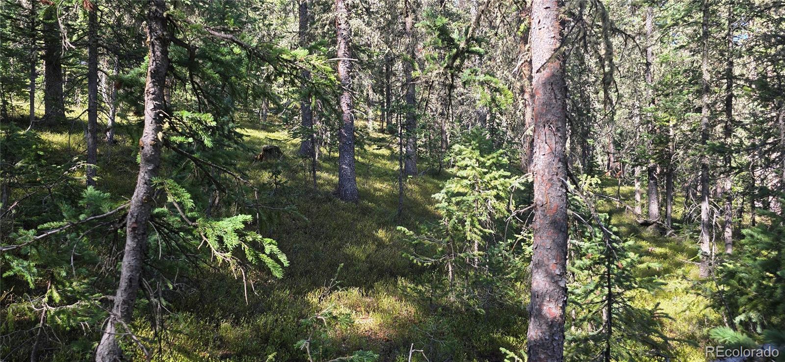Lot 6515 Doyle Road