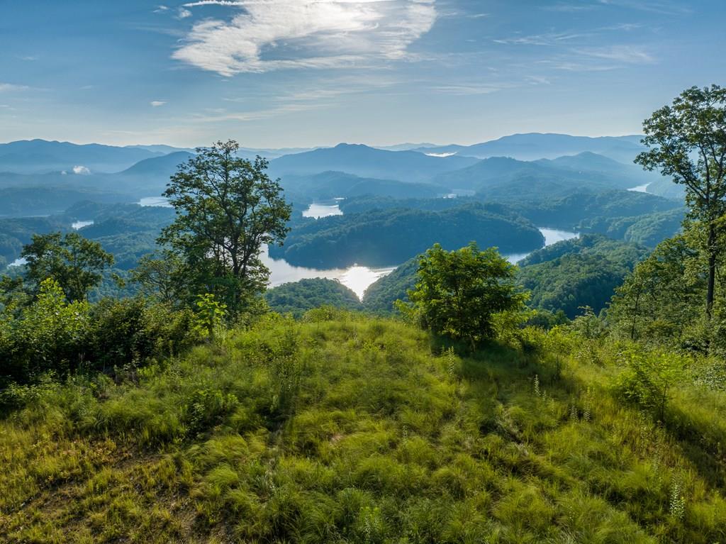 58+/- UNRESTRICTED acres with truly ONE OF A KIND views of Fontana Lake and the Smoky Mountain National Park! This proeprty is in the perfect location being only 10 minutes from downtown Bryson City and the Nantahala Outdoor Center, 5 minutes from two boat landings for Fontana Lake, Tsali mountain bike and horse trails just across the road! With a well established road system already in place leading to 5 ready to go homesites, the hardest part about buying this property will be deciding where to build your forever mountain home! You could also take the business approach and subdivide into many homesites!