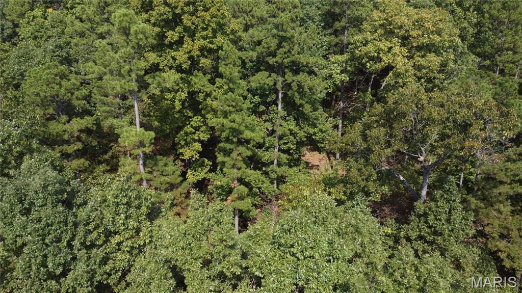 10255 Squaw Creek Rd