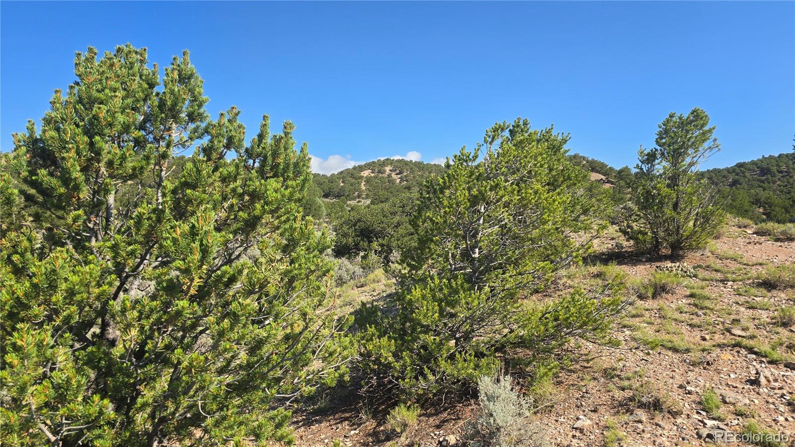 Lot 4296 Renfield Road