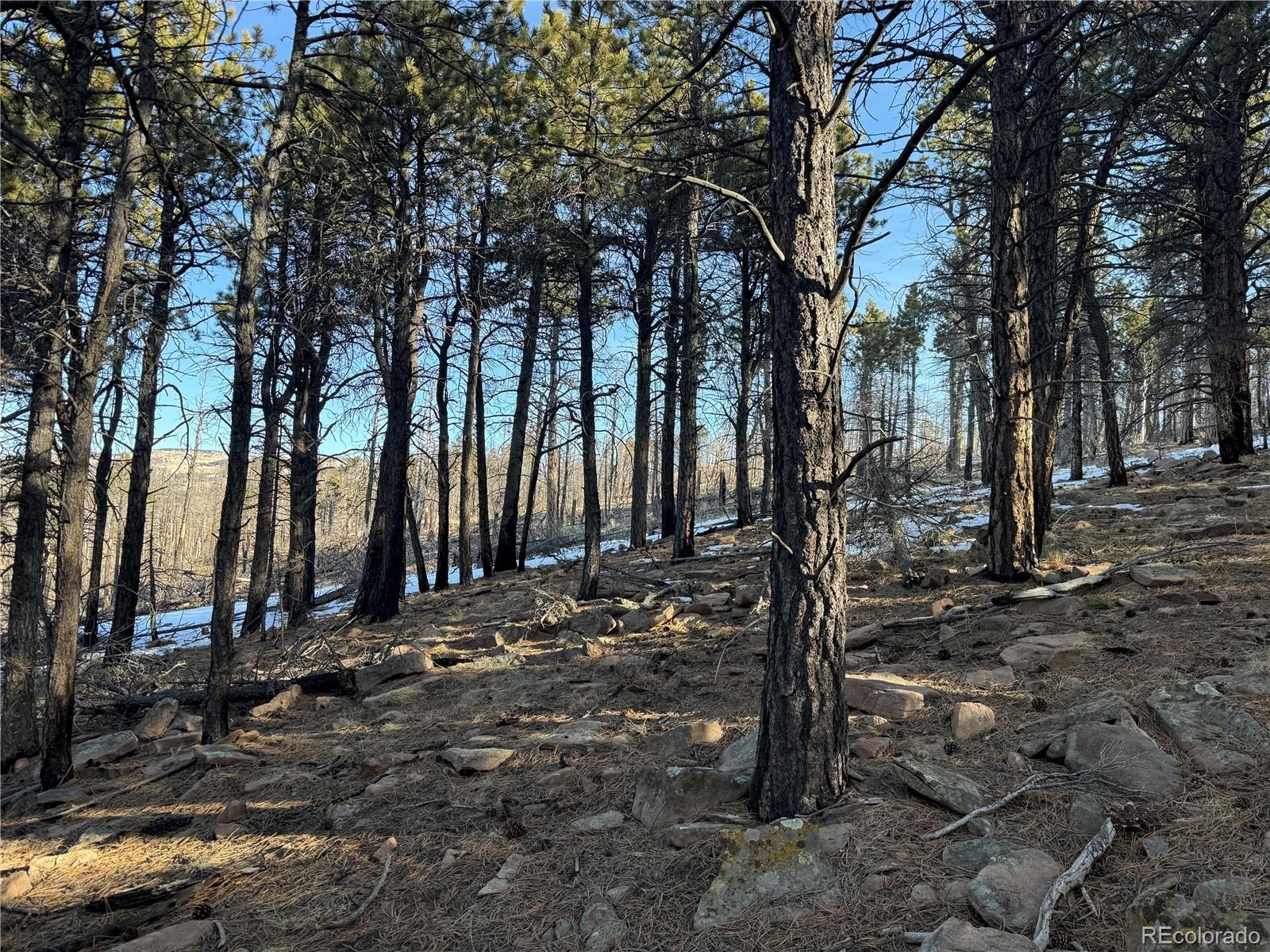 Lot 356 Spangle Drive