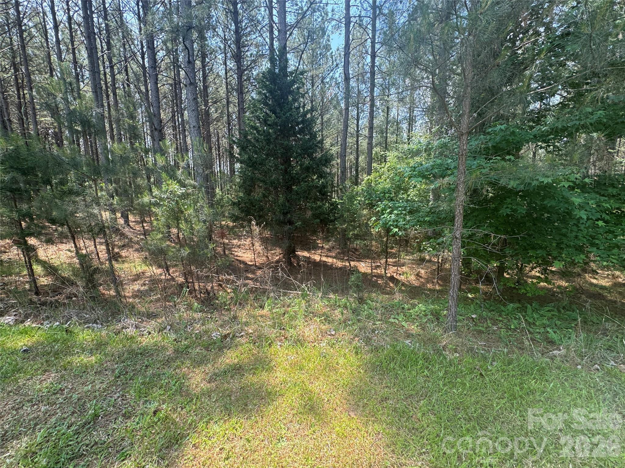 105 Stoney Brook Trail