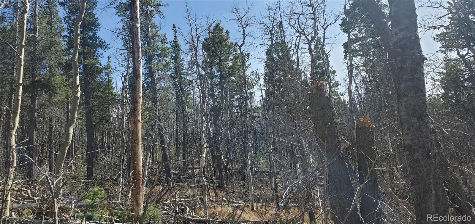 Lot 2560 Grojean Drive