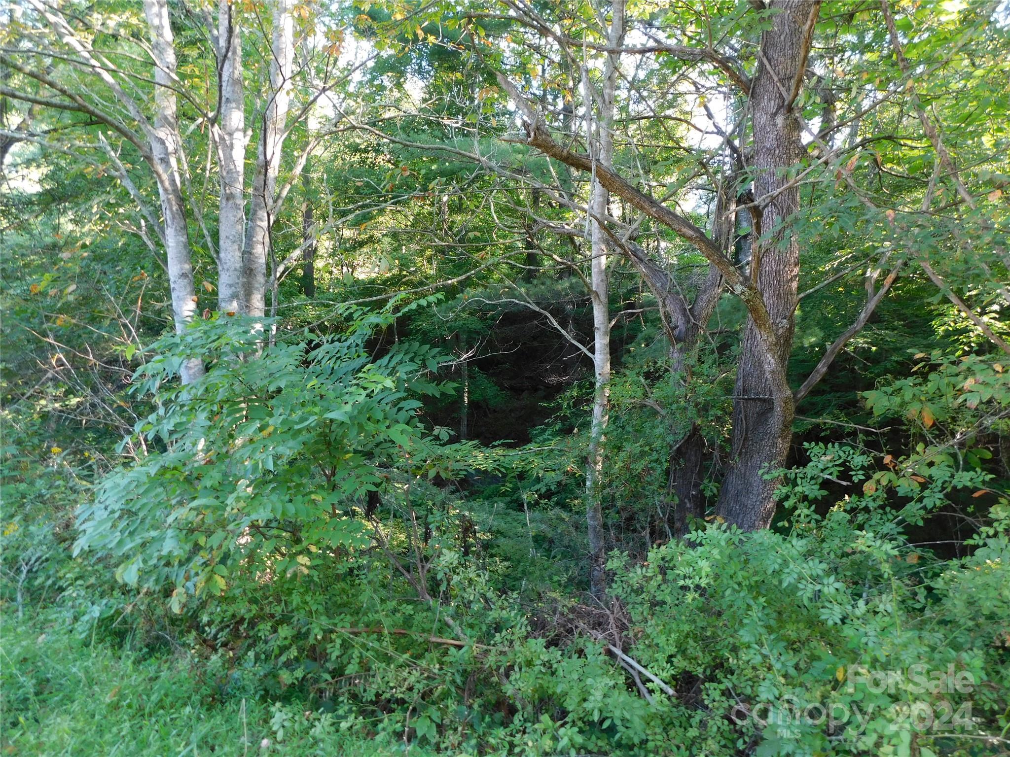 TBD Kates Lane