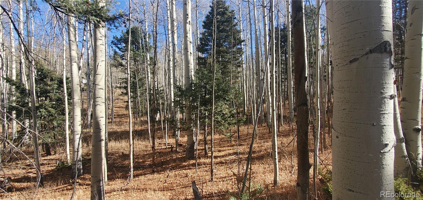 Lot 6060 Forbes Road