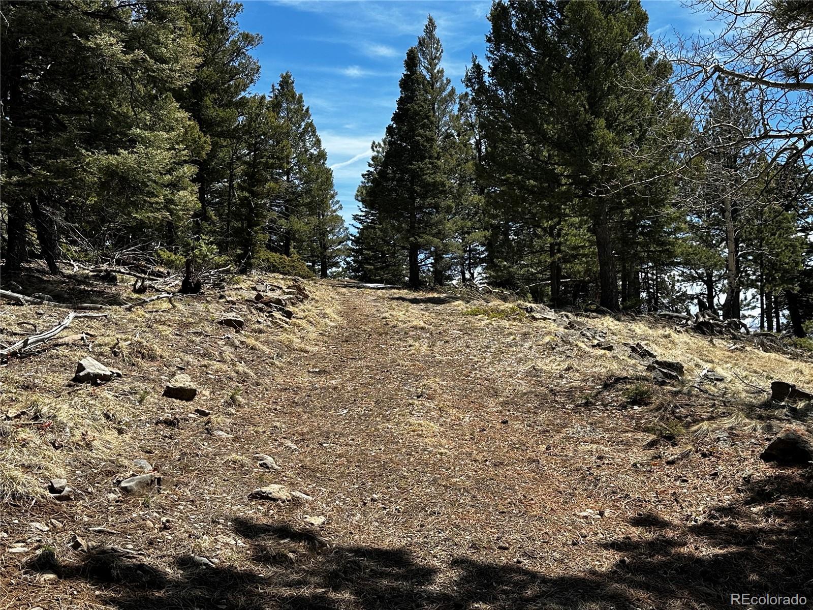Lot 174 Ferris Place
