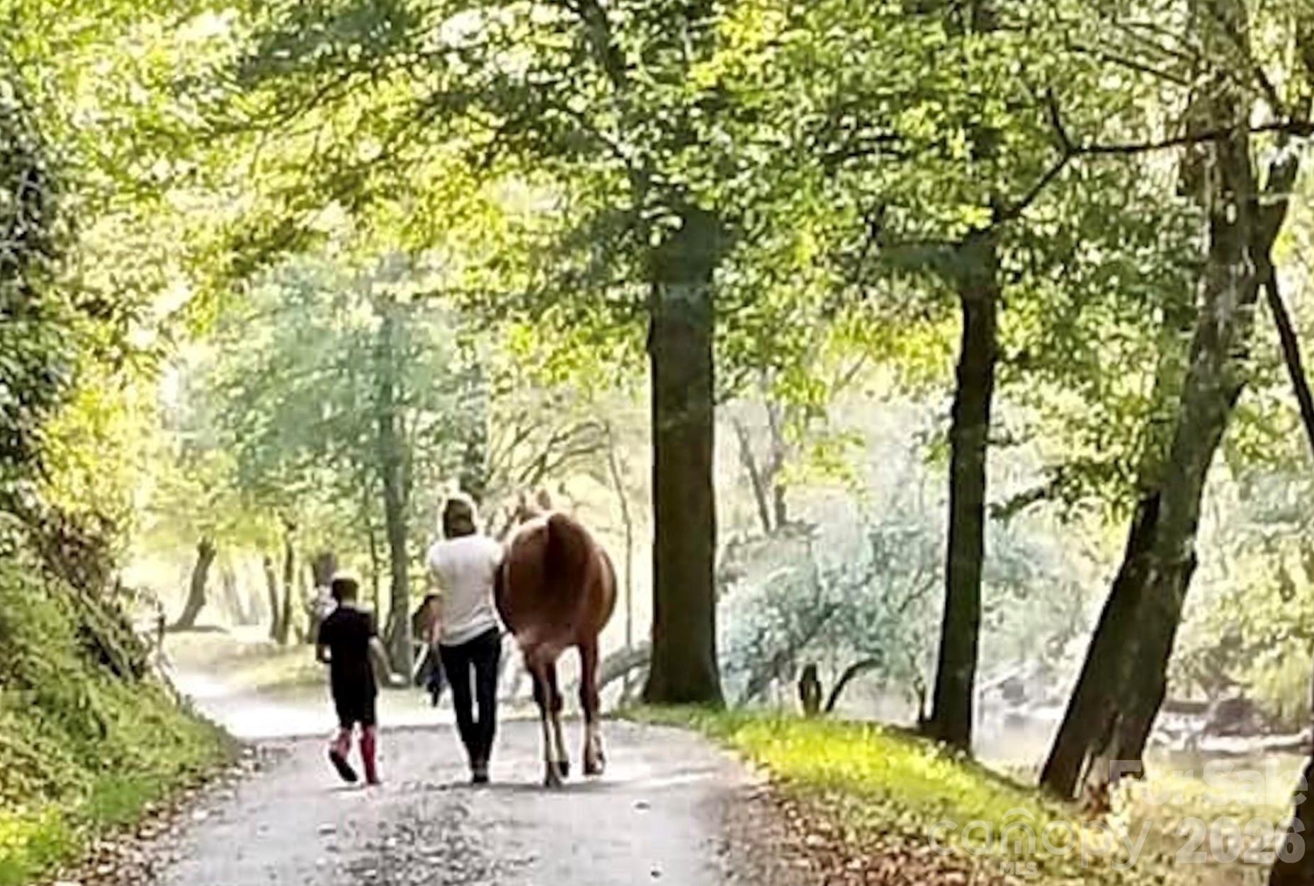 Lot 161/162 Rocky Falls Lane 161/162