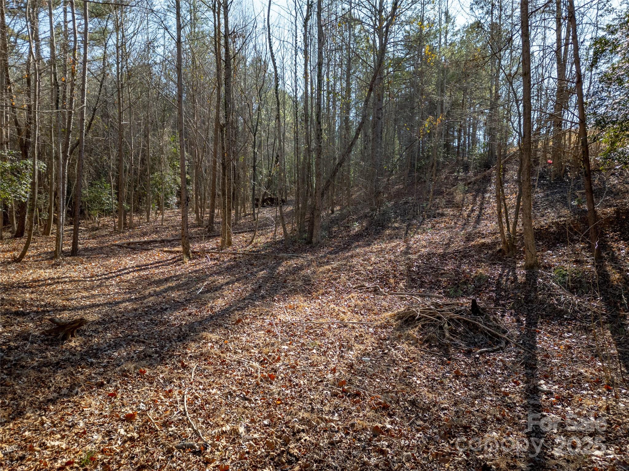 274 Rivercliff Drive