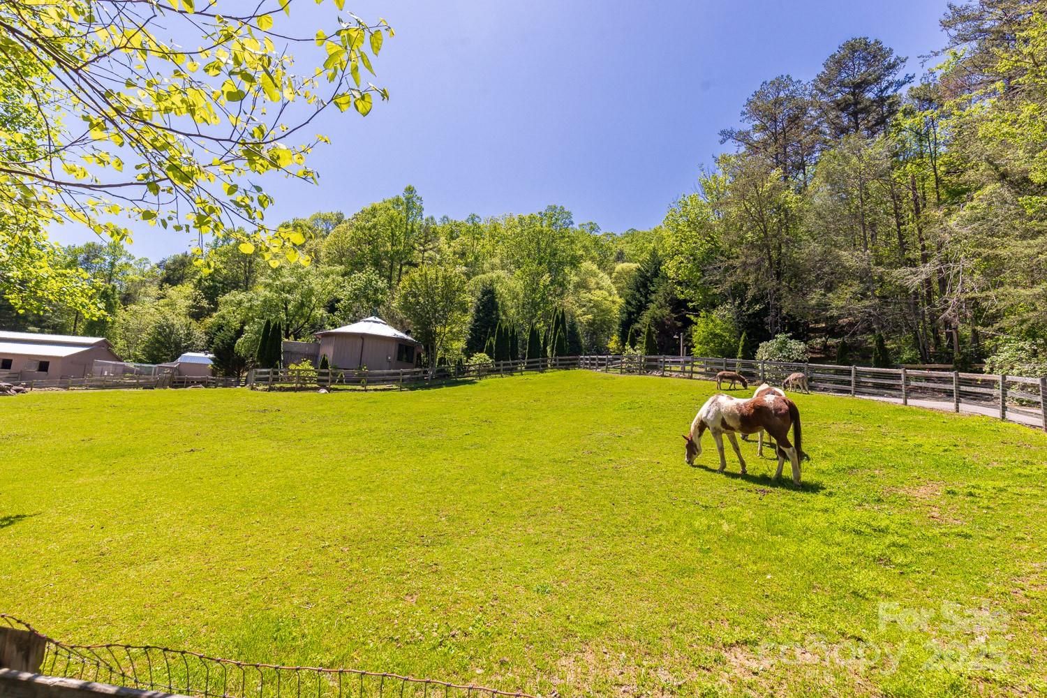 89 Weeping Cherry Forest Road
