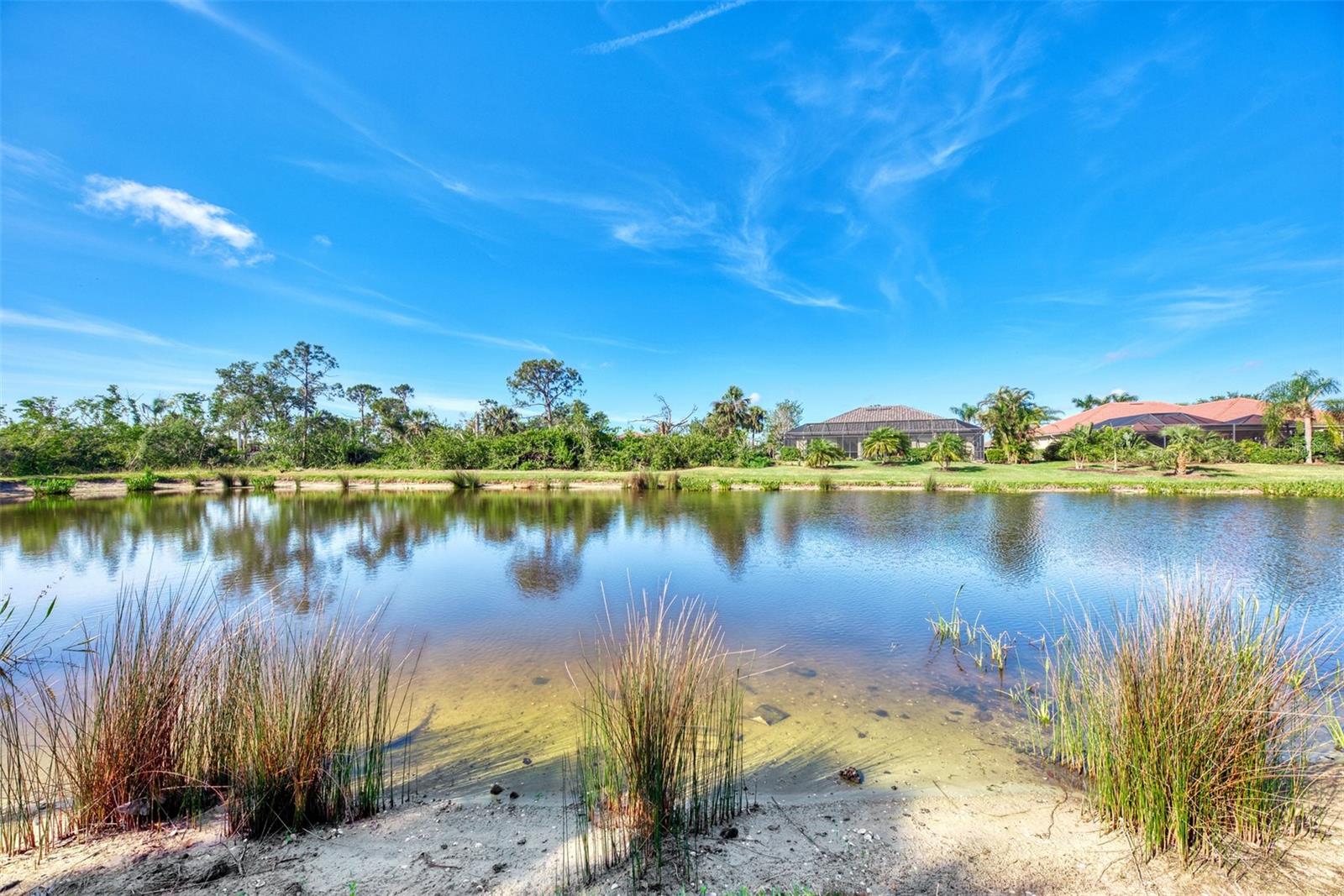 14236 Silver Lakes Circle
