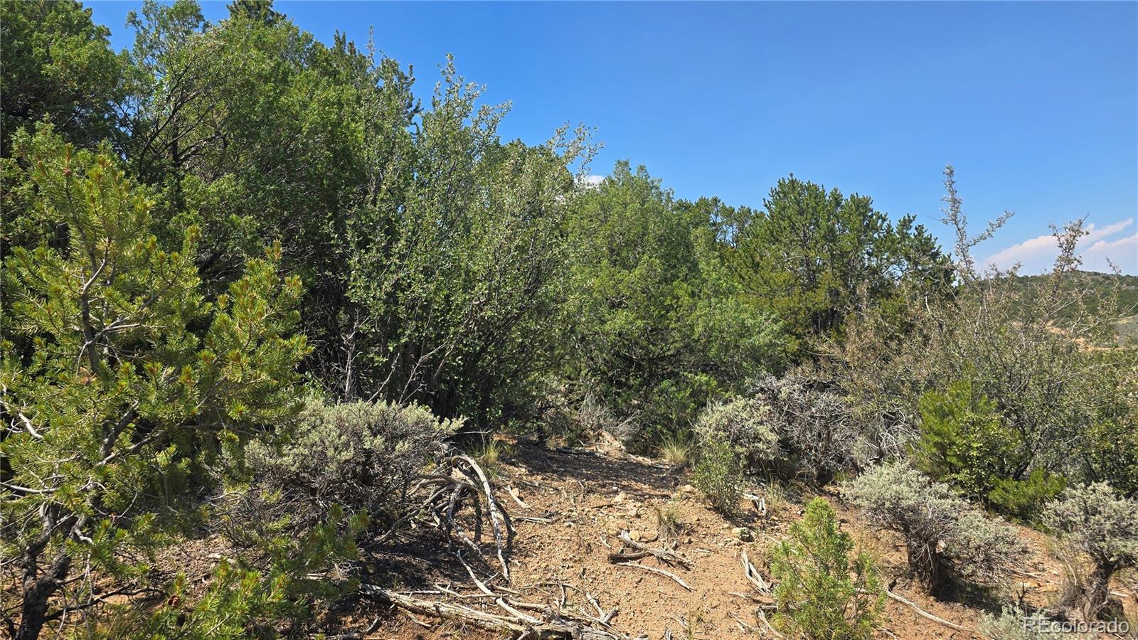 Lot 1615 Dunn Road