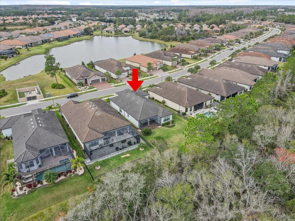 20113 Umbria Hill Drive