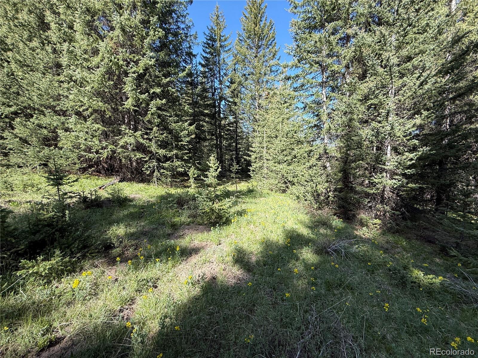 Lot 6843 Ryland Road
