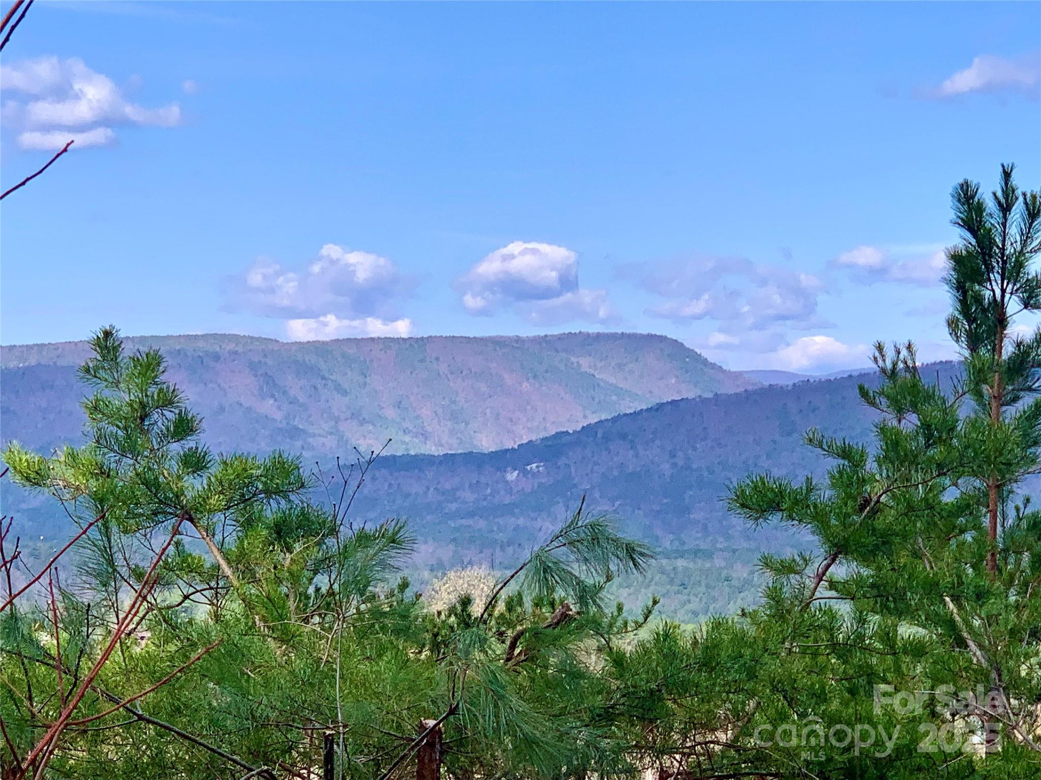 1.62 acres Lot 204B Johns Ridge Parkway Lot 204B