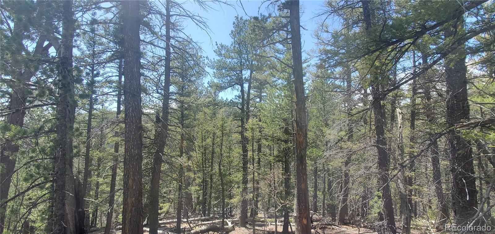 Lot 6764 Kerrigan Road
