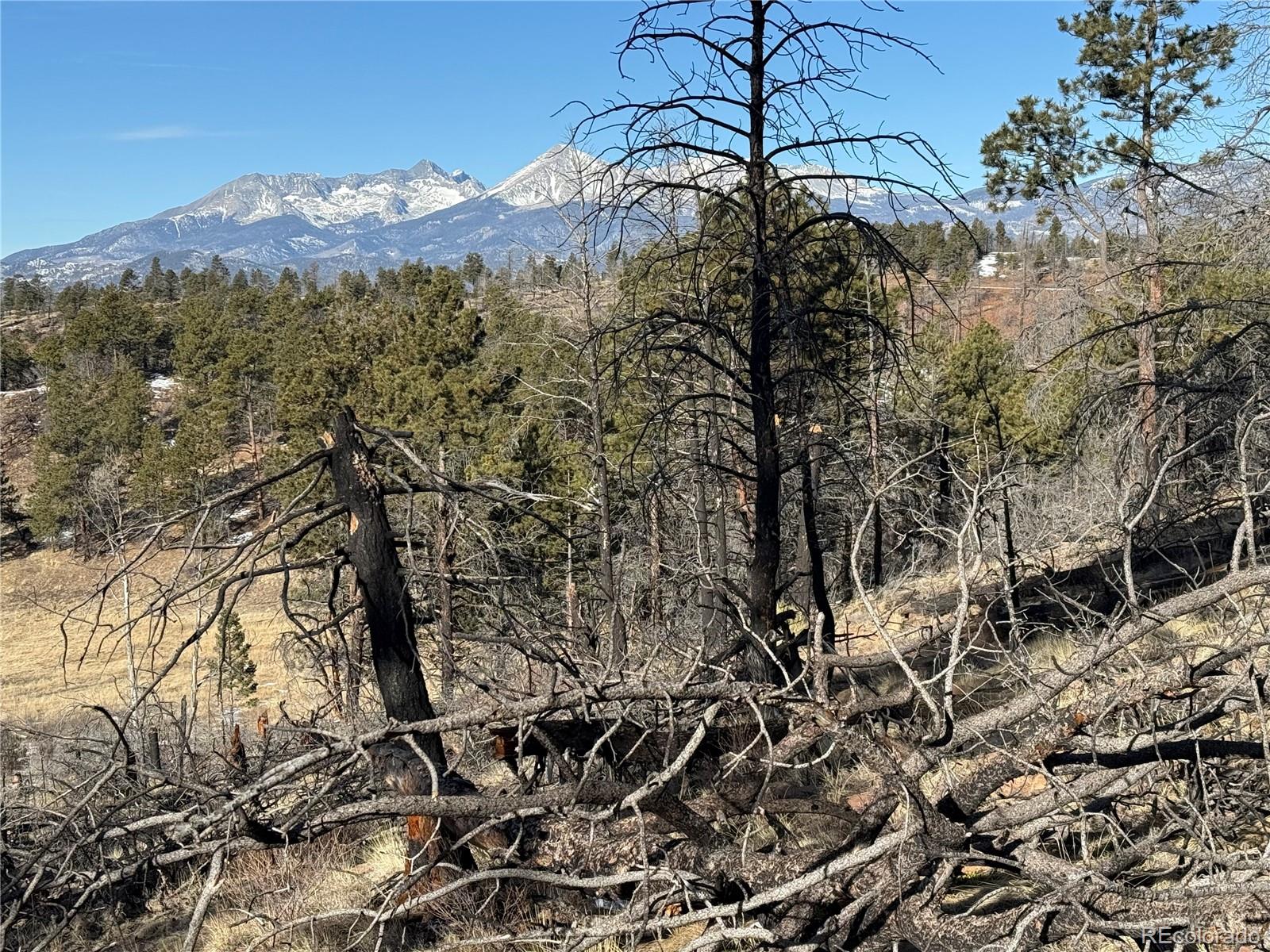 Lot 356 Spangle Drive