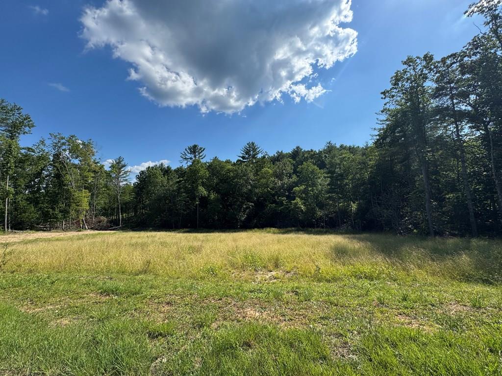 5.676 acres of pure potential, cleared, private, and waiting for your vision. Located on peaceful Petra Drive within Country Woods Estates this gem offers the best of both worlds: serene seclusion with a sense of community. Public water ready.