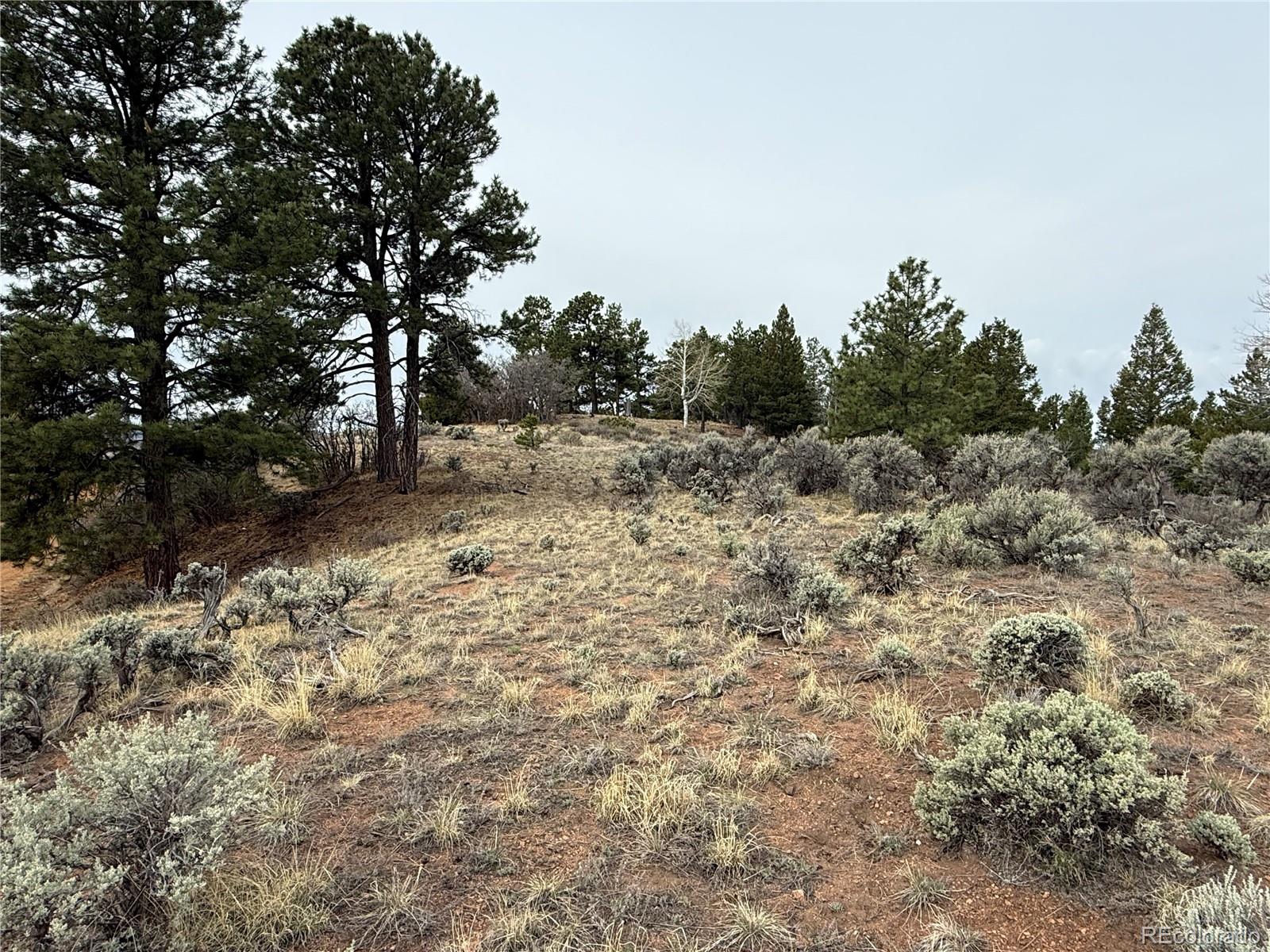 Lot 152 Tahmoush Lane