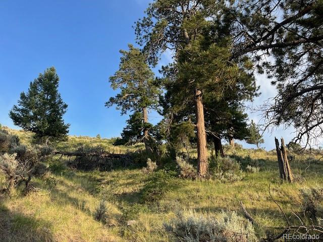 Lot 4630 Spring Road