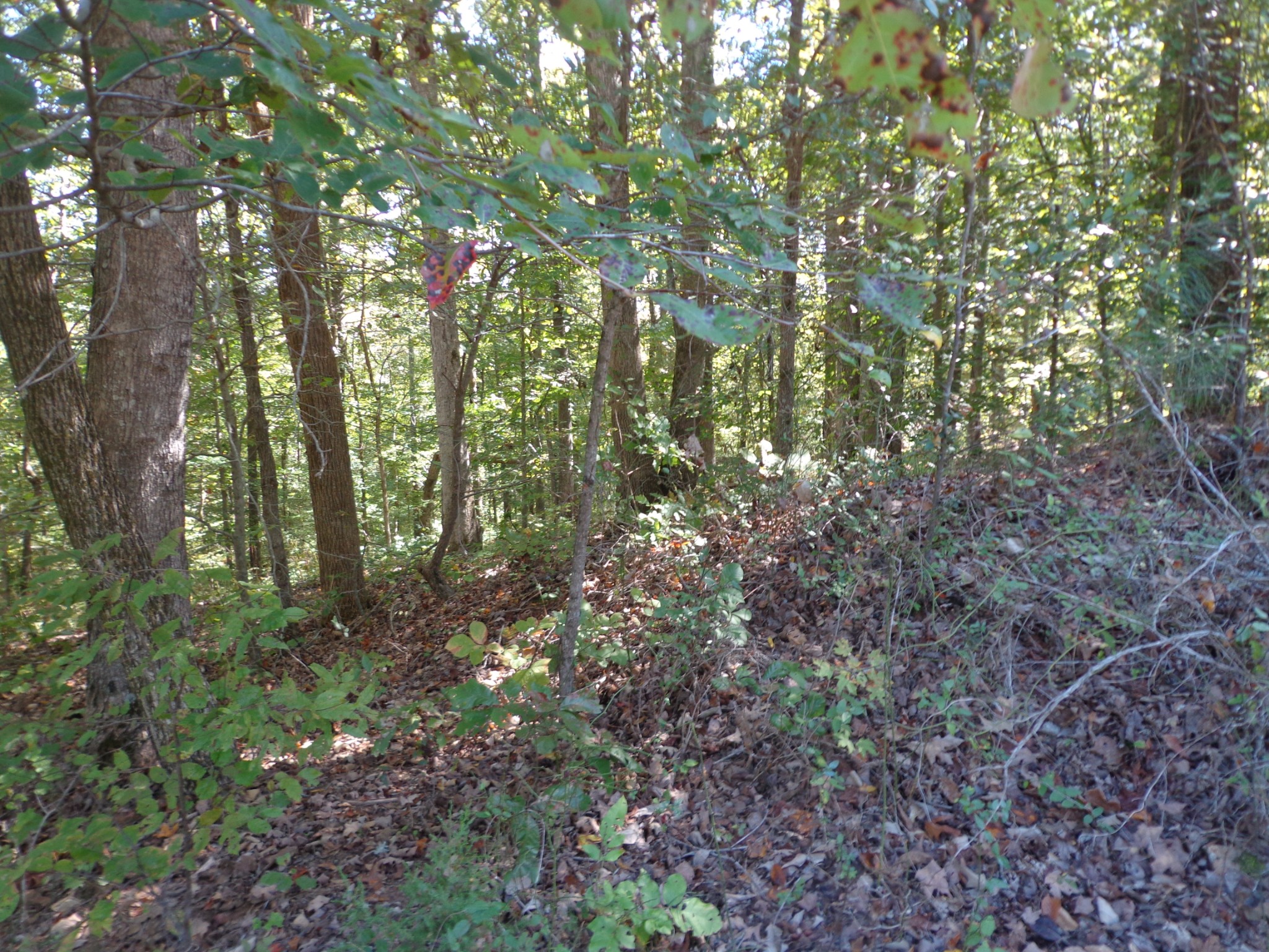 1030 Bucksnort Rd