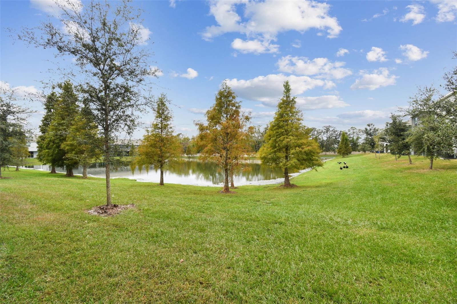 3230 Pleasant Willow Court