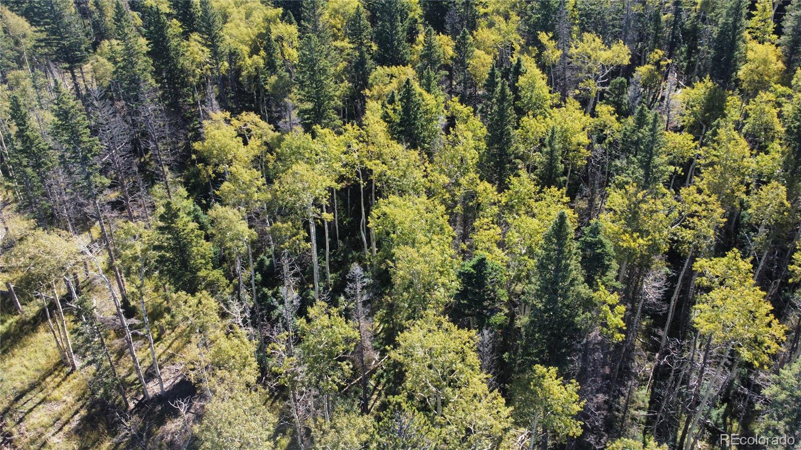 Lot 2652 Petito Drive