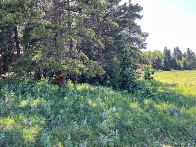 Lot 2893 Coder Place