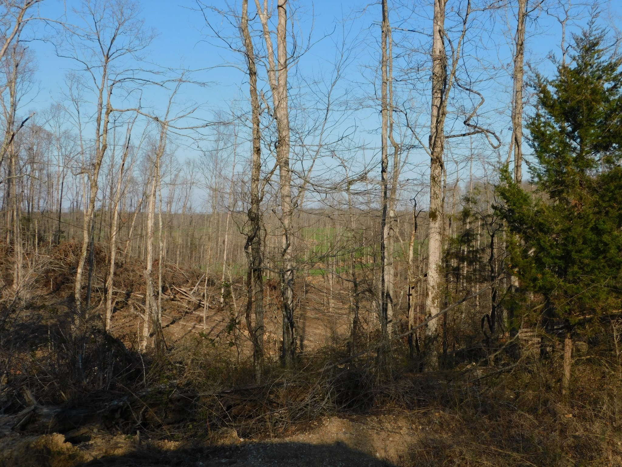 0 Lucas Ridge Road