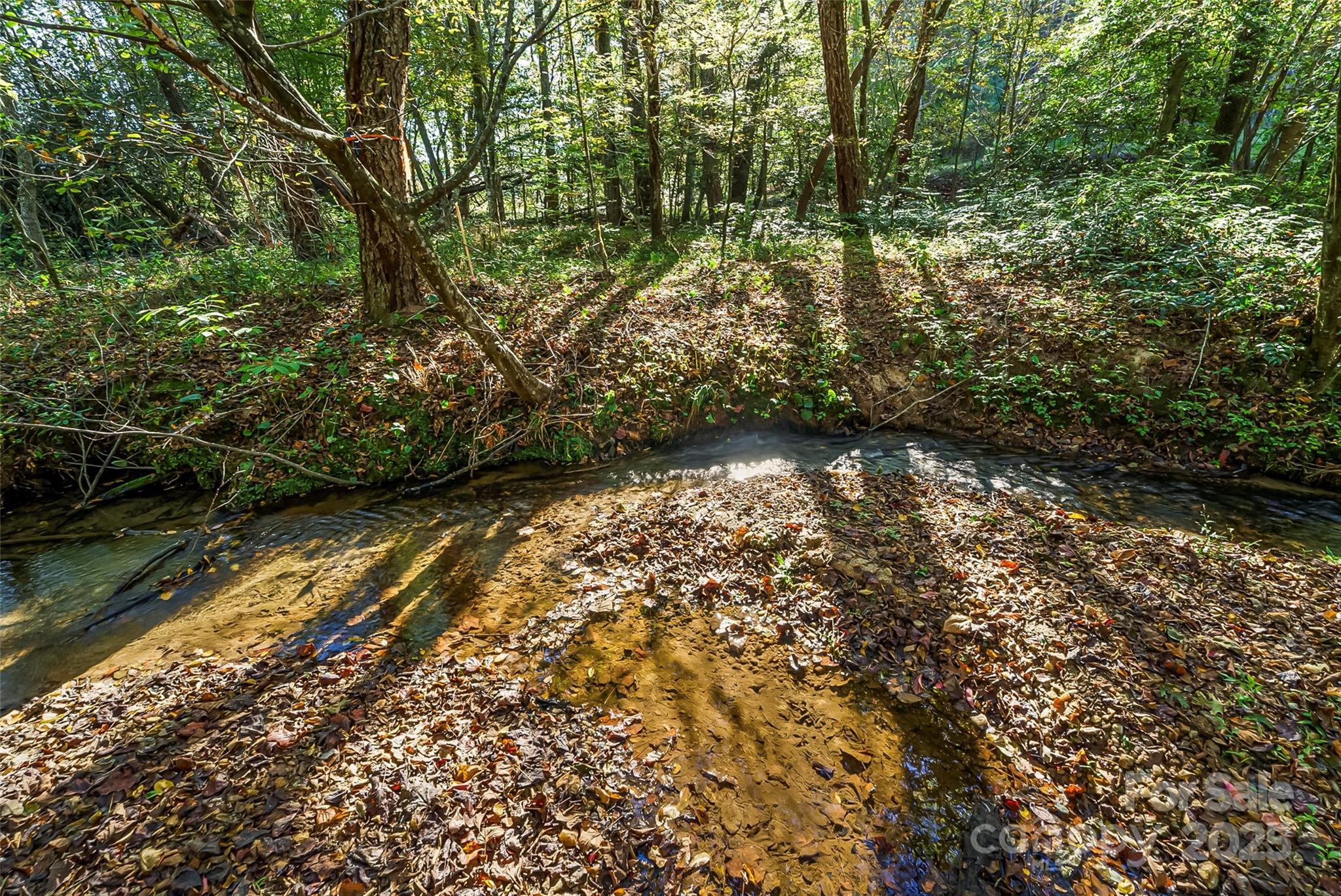 96 Patton Valley Drive