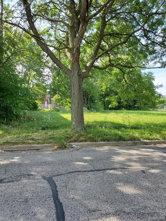 Vacant Land for sale in Detroit, Michigan, 20221031973