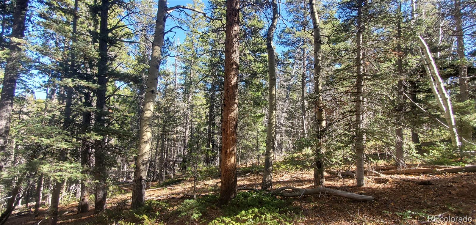 Lot 3023 & 3024 Bolwell Lane
