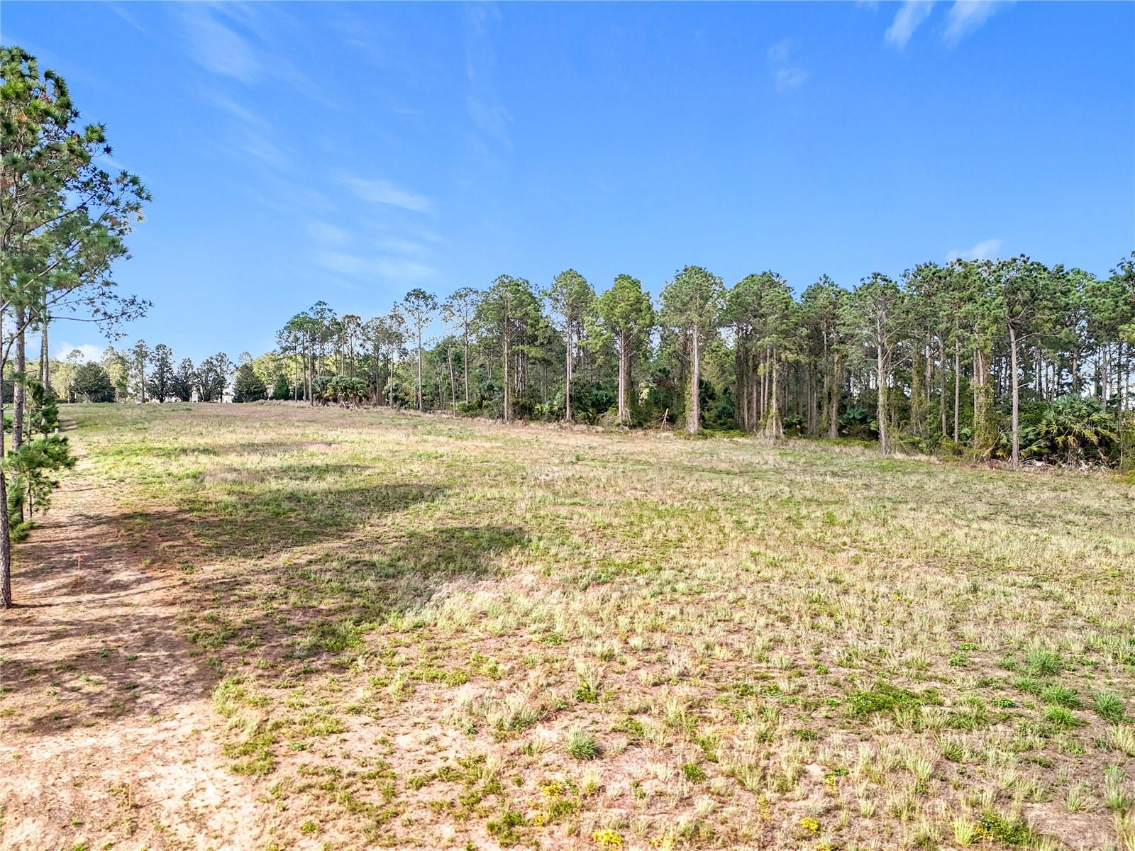 Lots and Land for sale in Bella Collina, Florida, O6280684