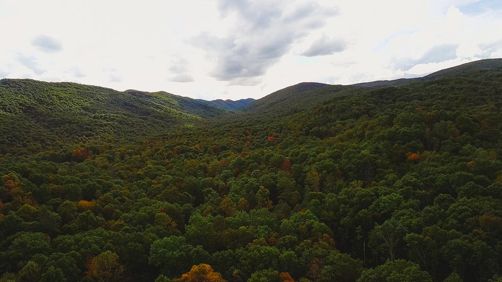 Discover the beauty, privacy, and unmatched seclusion of Lot 88 Nye Valley Road—a lovely 8.5 acre property located in the prestigious gated community of Cove Creek in the Blue Ridge Mountains of Tazewell County, Virginia. This gently rolling, mostly wooded tract offers a peaceful escape with a cleared and prepped driveway and homesite. Whether you're dreaming of a full-time mountain retreat or a recreational weekend getaway, this property is ready for your vision. Enjoy over 400 feet of road frontage on Nye Valley Road, making access easy while preserving your sense of seclusion. Breathtaking mountain views surround you, and the quiet of nature provides the ideal backdrop for relaxation or adventure. As a property owner in Cove Creek, you'll also have access to a private community recreation area featuring picnic tables and serene creek frontage—perfect for spending time with family, fishing, or simply enjoying the outdoors. Don't miss this opportunity to own a slice of mountain paradise in one of Tazewell County's most exclusive communities. Build your dream home or create your own private retreat in the Blue Ridge Mountains. Contact us today to schedule a showing or request more information about this unique and ready-to-build mountain property!
