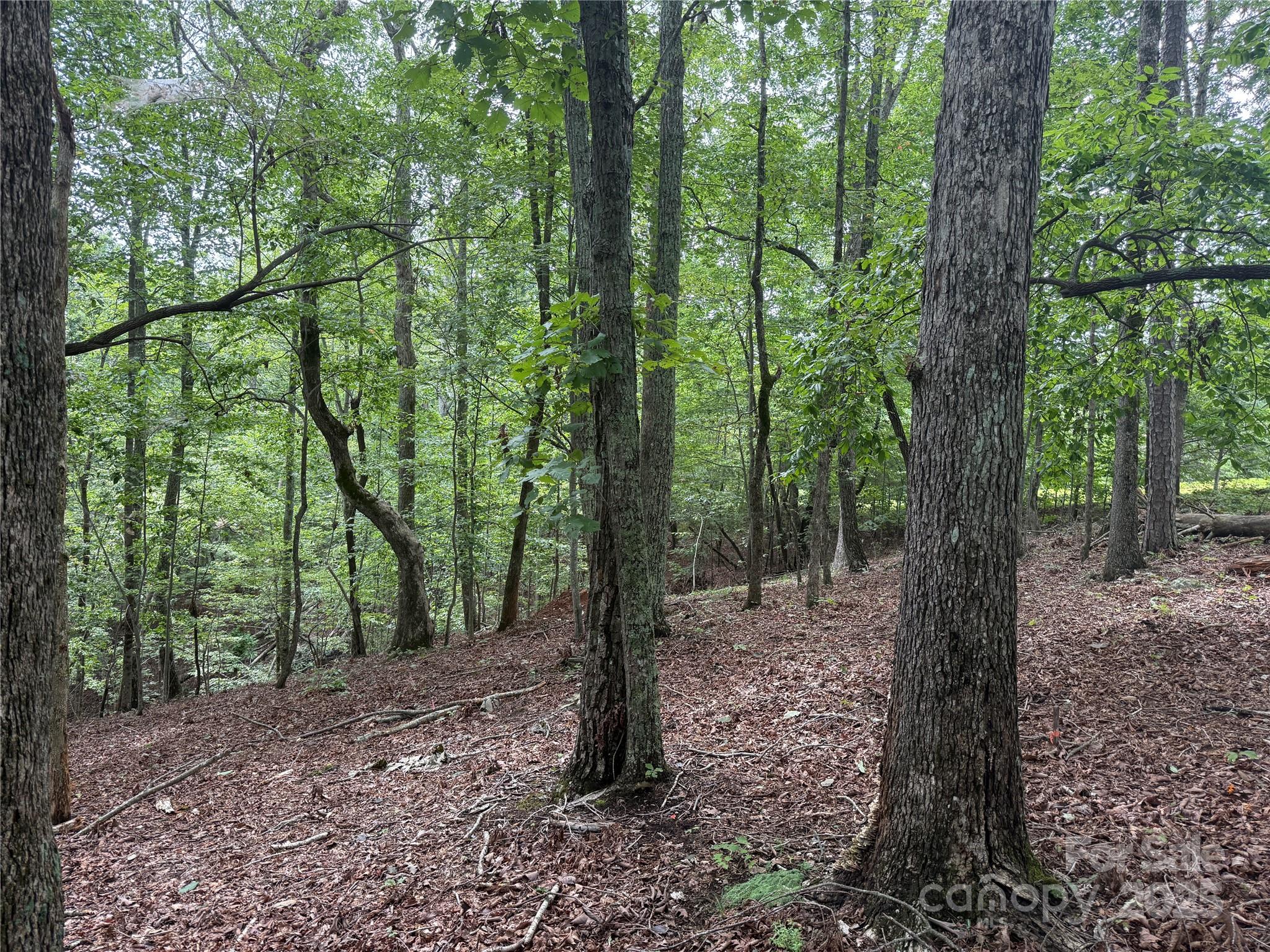 1187 Grandview Peaks Drive 187