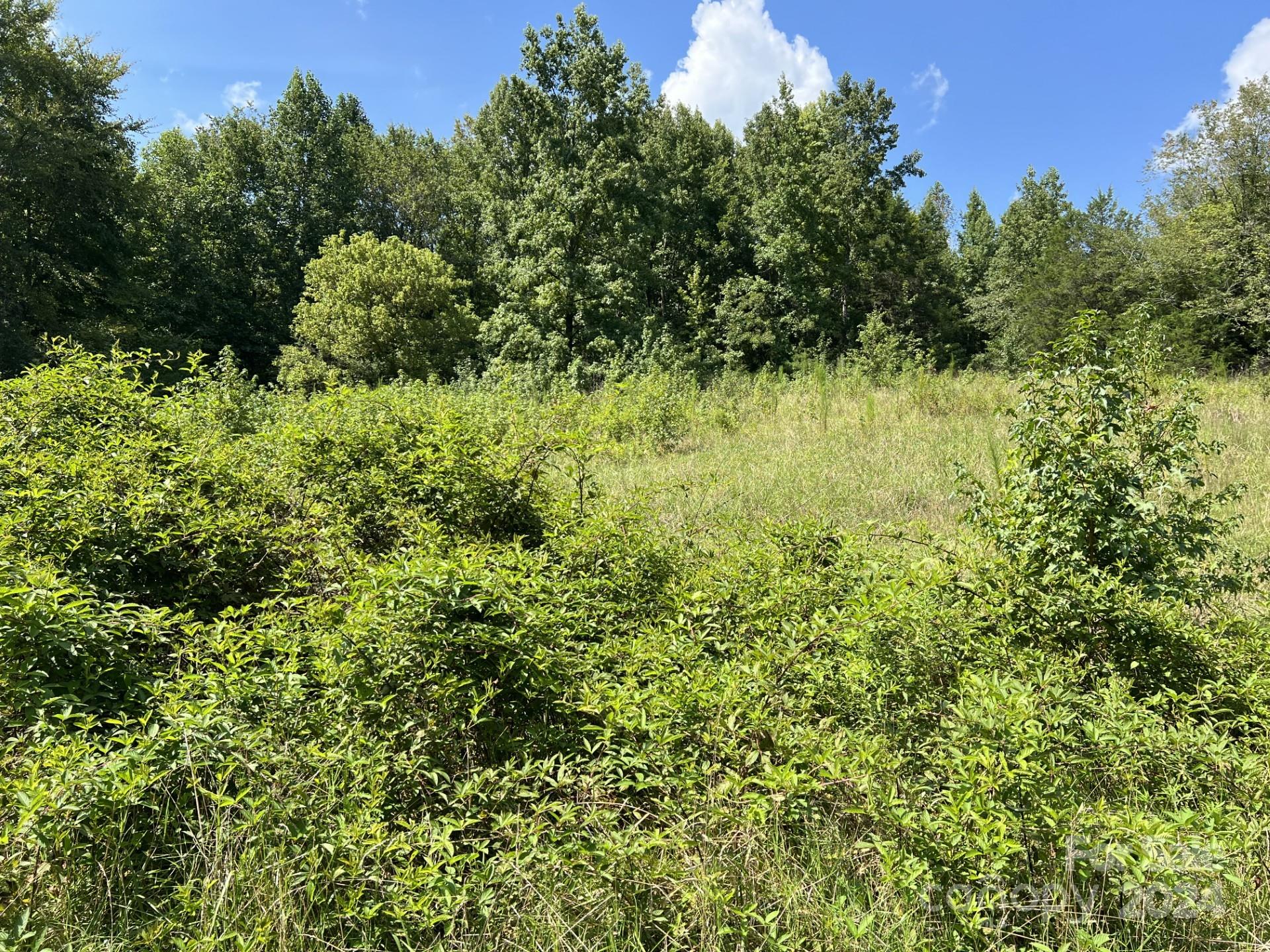 Acreage available less than 2 miles from Downtown Albemarle. This sprawling tract of 9.5 acre +/- , is awaiting your vision to transform it into your reality. The land is currently zoned R-20. Please refer to planning and zoning for your intended use prior to making an offer. The dirt road continuation of Hastings Dr is a deeded easement for the properties toward the end of Hastings Dr. City sewer available, tap fee required. Well Required. City water main at corner of Hastings Dr and Canterbury.