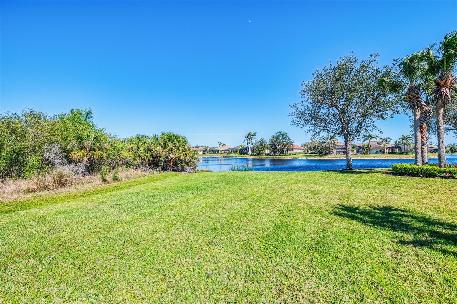 2625 Wax Myrtle